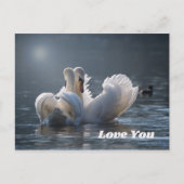 Swan-Liebe- Postkarte (Vorderseite)