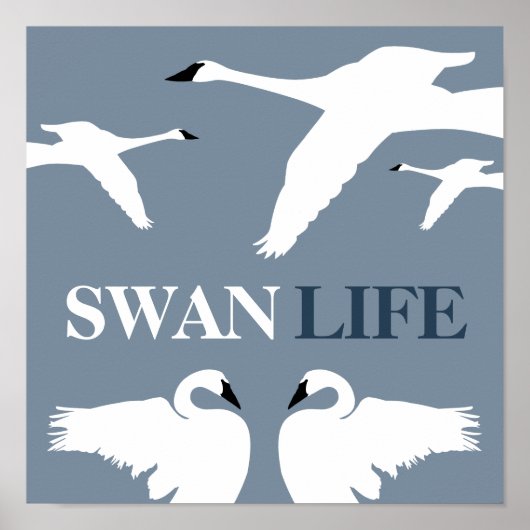 Swan Life, Elegante Swan Poster (Vorne)