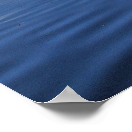 Swan Madison Wisconsin Poster (Ecke)