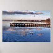 Swan Madison Wisconsin Poster (Vorne)