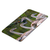 Swan Magnet (Linke Seite)