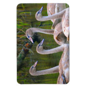 Swan Magnet (Vertikal)