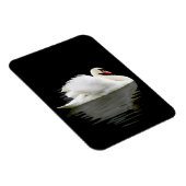 Swan Magnet (Rechte Seite)