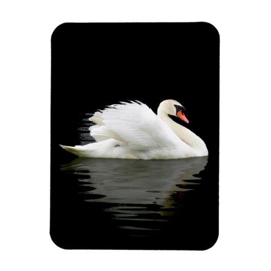 Swan Magnet (Vertikal)