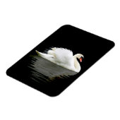 Swan Magnet (Linke Seite)