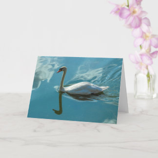 Swan mit Cloud Reflections Karte