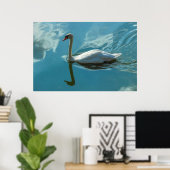 Swan mit Cloud Reflections Poster (Heimbüro)