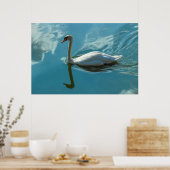 Swan mit Cloud Reflections Poster (Küche)