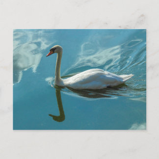 Swan mit Cloud Reflections Postkarte