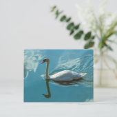 Swan mit Cloud Reflections Postkarte (Stehend Vorderseite)