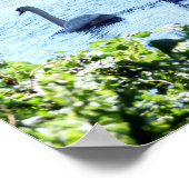 Swan mit Cygnets am Fluss. Poster (Ecke)