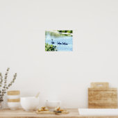 Swan mit Cygnets am Fluss. Poster (Küche)