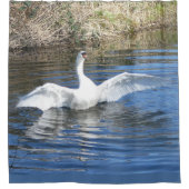 Swan mit Spread Wings Duschvorhang (Vorderseite)