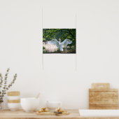 Swan mit Wings Spread Poster (Küche)
