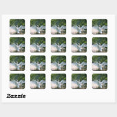 Swan mit Wings Spread Quadratischer Aufkleber (Blatt)