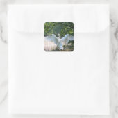 Swan mit Wings Spread Quadratischer Aufkleber (Tasche)