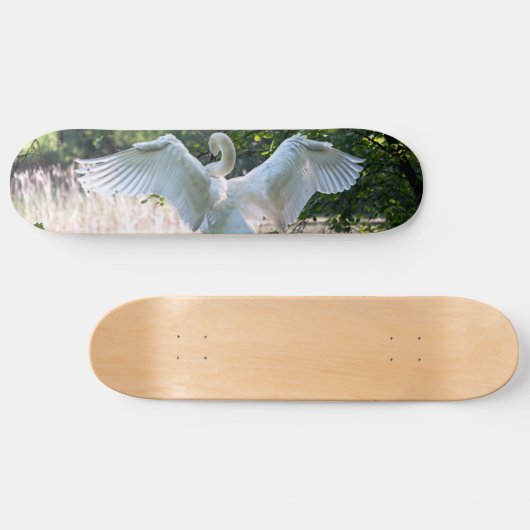 Swan mit Wings Spread Skateboard (Horizontal)