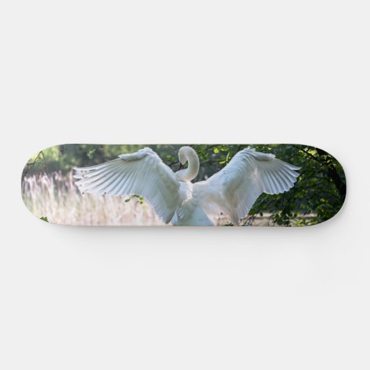 Swan mit Wings Spread Skateboard (Horizontal)