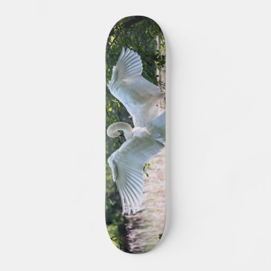 Swan mit Wings Spread Skateboard (Vorderseite)