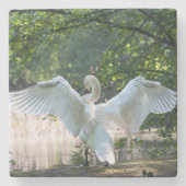 Swan mit Wings Spread Steinuntersetzer (Vorderseite)