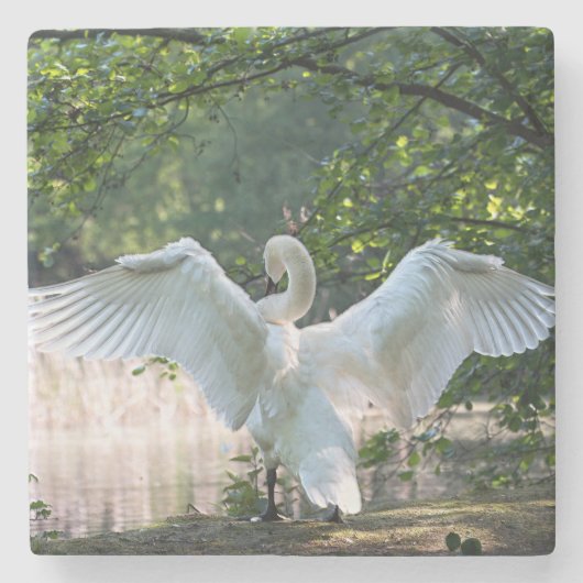 Swan mit Wings Spread Steinuntersetzer (Vorderseite)