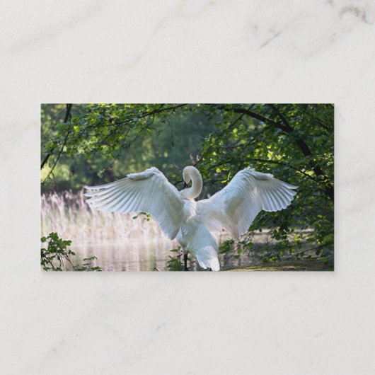 Swan mit Wings Spread Visitenkarte (Rückseite)