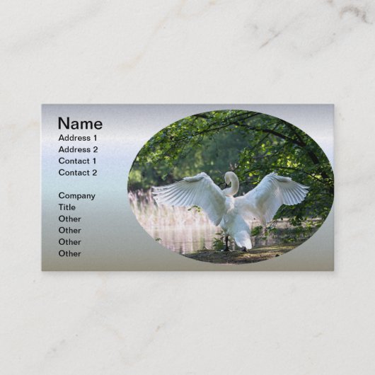 Swan mit Wings Spread Visitenkarte (Vorderseite)