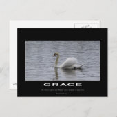 Swan Motivierend Gifts Postkarte (Vorne/Hinten)