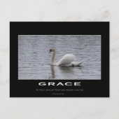 Swan Motivierend Gifts Postkarte (Vorderseite)