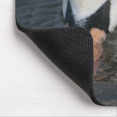 Swan Mousepad (Ecke)