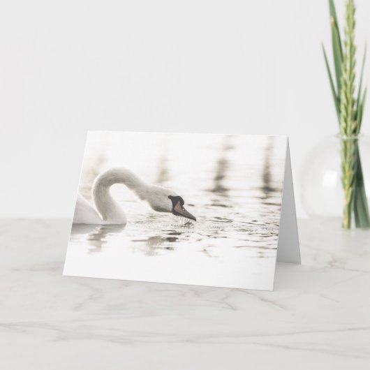Swan Nature Foto Karte (Vorderseite)