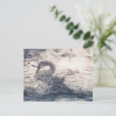 Swan Nature Foto Postkarte (Stehend Vorderseite)