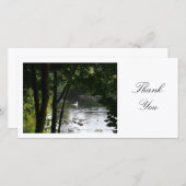 Swan on a River - Danke (Vorne/Hinten)