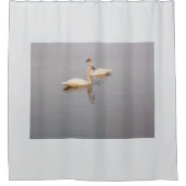 Swan Pair Duschvorhang (Vorderseite)