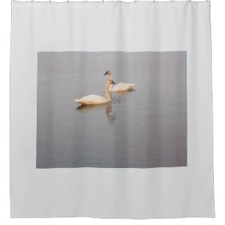 Swan Pair Duschvorhang
