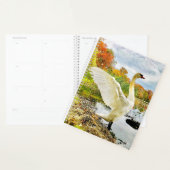 Swan Planner Planer (Anzeige)