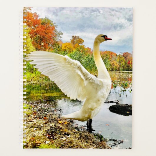 Swan Planner Planer (Vorderseite)