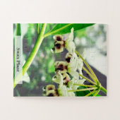 Swan Plant: Monarch’s First Home 30 Pcs Puzzle (Horizontal)