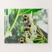 Swan Plant: Monarch’s First Home 56 Pieces Puzzle (Horizontal)