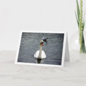 Swan Portrait Karte (Vorderseite)