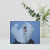 Swan Postcard Postkarte (Stehend Vorderseite)