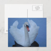Swan Postcard Postkarte (Vorne/Hinten)