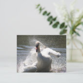 Swan Postcard Postkarte (Stehend Vorderseite)