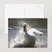 Swan Postcard Postkarte (Vorne/Hinten)