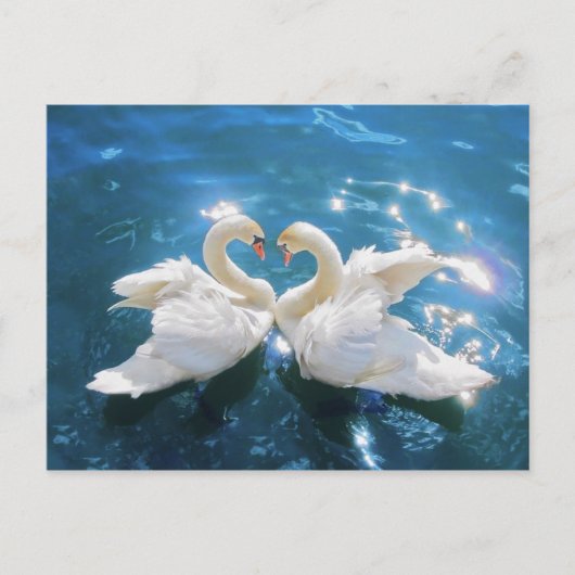 Swan Postcard Postkarte (Vorderseite)