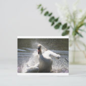 Swan Postcard Postkarte (Stehend Vorderseite)