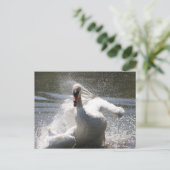 Swan Postcard Postkarte (Stehend Vorderseite)