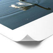 Swan Poster (Ecke)