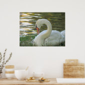 Swan-Poster Poster (Küche)
