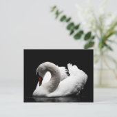 Swan-Postkarte Postkarte (Stehend Vorderseite)